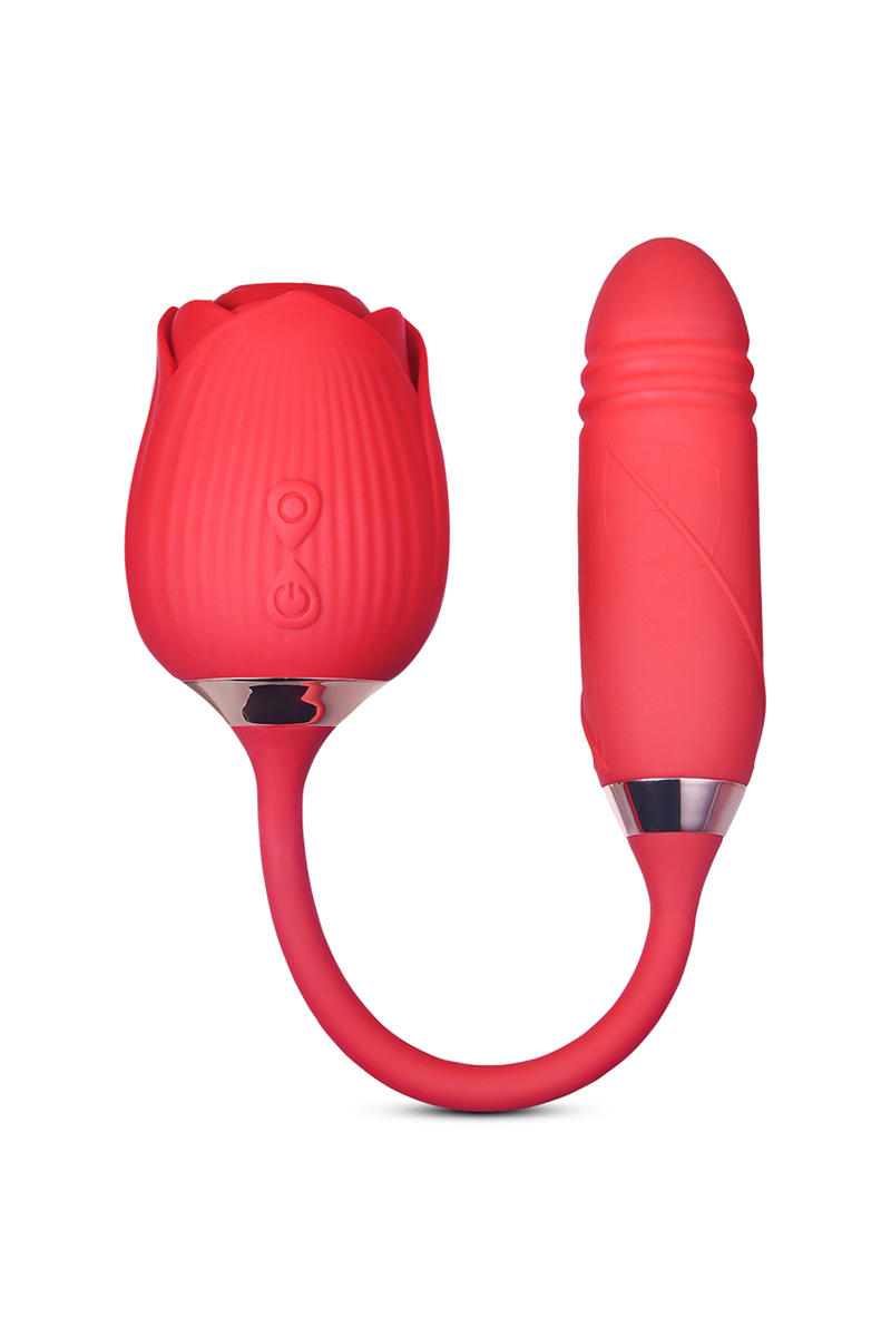 Stimulateur à va-et-vient et aspiration Blisslink - DIK – Image 3